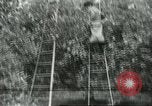 Image sélecteurs orange américain mexicain Farmersville California USA, 1968, de la seconde 49 séquences d'archives historiques vidéo 65675058041