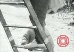 Image sélecteurs orange américain mexicain Farmersville California USA, 1968, de la seconde 52 séquences d'archives historiques vidéo 65675058041
