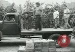 Standbild mexikanischen American orange Picker Farmersville California USA, 1968, aus Sekunde 6 historischem Filmmaterial Videoclip 65675058042