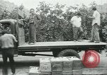 Standbild mexikanischen American orange Picker Farmersville California USA, 1968, aus Sekunde 8 historischem Filmmaterial Videoclip 65675058042