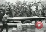 Standbild mexikanischen American orange Picker Farmersville California USA, 1968, aus Sekunde 9 historischem Filmmaterial Videoclip 65675058042