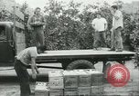 Standbild mexikanischen American orange Picker Farmersville California USA, 1968, aus Sekunde 10 historischem Filmmaterial Videoclip 65675058042