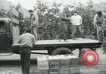 Standbild mexikanischen American orange Picker Farmersville California USA, 1968, aus Sekunde 13 historischem Filmmaterial Videoclip 65675058042