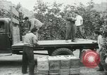 Standbild mexikanischen American orange Picker Farmersville California USA, 1968, aus Sekunde 14 historischem Filmmaterial Videoclip 65675058042