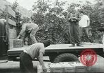 Standbild mexikanischen American orange Picker Farmersville California USA, 1968, aus Sekunde 15 historischem Filmmaterial Videoclip 65675058042