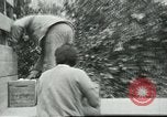 Standbild mexikanischen American orange Picker Farmersville California USA, 1968, aus Sekunde 17 historischem Filmmaterial Videoclip 65675058042