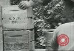 Standbild mexikanischen American orange Picker Farmersville California USA, 1968, aus Sekunde 23 historischem Filmmaterial Videoclip 65675058042