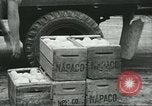 Standbild mexikanischen American orange Picker Farmersville California USA, 1968, aus Sekunde 28 historischem Filmmaterial Videoclip 65675058042