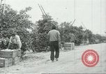 Standbild mexikanischen American orange Picker Farmersville California USA, 1968, aus Sekunde 31 historischem Filmmaterial Videoclip 65675058042