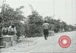 Standbild mexikanischen American orange Picker Farmersville California USA, 1968, aus Sekunde 33 historischem Filmmaterial Videoclip 65675058042