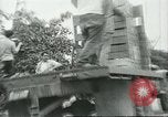 Standbild mexikanischen American orange Picker Farmersville California USA, 1968, aus Sekunde 44 historischem Filmmaterial Videoclip 65675058042