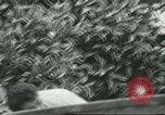 Standbild mexikanischen American orange Picker Farmersville California USA, 1968, aus Sekunde 49 historischem Filmmaterial Videoclip 65675058042