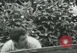 Standbild mexikanischen American orange Picker Farmersville California USA, 1968, aus Sekunde 50 historischem Filmmaterial Videoclip 65675058042