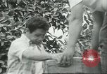 Standbild mexikanischen American orange Picker Farmersville California USA, 1968, aus Sekunde 53 historischem Filmmaterial Videoclip 65675058042