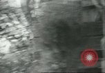 Standbild mexikanischen American orange Picker Farmersville California USA, 1968, aus Sekunde 54 historischem Filmmaterial Videoclip 65675058042