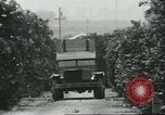 Standbild mexikanischen American orange Picker Farmersville California USA, 1968, aus Sekunde 55 historischem Filmmaterial Videoclip 65675058042