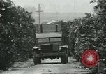 Standbild mexikanischen American orange Picker Farmersville California USA, 1968, aus Sekunde 56 historischem Filmmaterial Videoclip 65675058042