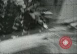 Standbild mexikanischen American orange Picker Farmersville California USA, 1968, aus Sekunde 58 historischem Filmmaterial Videoclip 65675058042