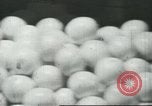 Standbild Verpackung Orangen zum Verkauf Farmersville California USA, 1968, aus Sekunde 1 historischem Filmmaterial Videoclip 65675058043
