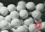 Standbild Verpackung Orangen zum Verkauf Farmersville California USA, 1968, aus Sekunde 3 historischem Filmmaterial Videoclip 65675058043