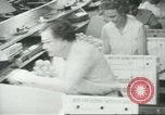 Standbild Verpackung Orangen zum Verkauf Farmersville California USA, 1968, aus Sekunde 18 historischem Filmmaterial Videoclip 65675058043