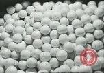 Standbild Verpackung Orangen zum Verkauf Farmersville California USA, 1968, aus Sekunde 30 historischem Filmmaterial Videoclip 65675058043