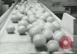 Standbild Verpackung Orangen zum Verkauf Farmersville California USA, 1968, aus Sekunde 35 historischem Filmmaterial Videoclip 65675058043