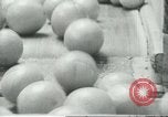 Standbild Verpackung Orangen zum Verkauf Farmersville California USA, 1968, aus Sekunde 37 historischem Filmmaterial Videoclip 65675058043