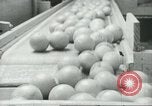 Standbild Verpackung Orangen zum Verkauf Farmersville California USA, 1968, aus Sekunde 43 historischem Filmmaterial Videoclip 65675058043