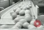 Standbild Verpackung Orangen zum Verkauf Farmersville California USA, 1968, aus Sekunde 44 historischem Filmmaterial Videoclip 65675058043