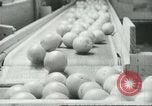 Standbild Verpackung Orangen zum Verkauf Farmersville California USA, 1968, aus Sekunde 45 historischem Filmmaterial Videoclip 65675058043