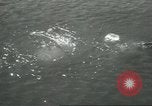 Standbild Diver's Helm Fitchburg Massachusetts USA, 1931, aus Sekunde 59 historischem Filmmaterial Videoclip 65675058052
