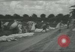 Standbild Baumwolle Landwirtschaft Chula Georgia USA, 1931, aus Sekunde 19 historischem Filmmaterial Videoclip 65675058053