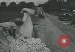 Standbild Baumwolle Landwirtschaft Chula Georgia USA, 1931, aus Sekunde 21 historischem Filmmaterial Videoclip 65675058053