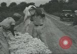 Standbild Baumwolle Landwirtschaft Chula Georgia USA, 1931, aus Sekunde 23 historischem Filmmaterial Videoclip 65675058053