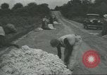 Standbild Baumwolle Landwirtschaft Chula Georgia USA, 1931, aus Sekunde 24 historischem Filmmaterial Videoclip 65675058053