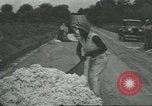 Standbild Baumwolle Landwirtschaft Chula Georgia USA, 1931, aus Sekunde 25 historischem Filmmaterial Videoclip 65675058053