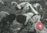 Standbild Baumwolle Landwirtschaft Chula Georgia USA, 1931, aus Sekunde 27 historischem Filmmaterial Videoclip 65675058053