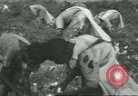 Standbild Baumwolle Landwirtschaft Chula Georgia USA, 1931, aus Sekunde 28 historischem Filmmaterial Videoclip 65675058053