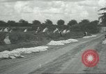 Standbild Baumwolle Landwirtschaft Chula Georgia USA, 1931, aus Sekunde 29 historischem Filmmaterial Videoclip 65675058053
