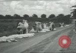 Standbild Baumwolle Landwirtschaft Chula Georgia USA, 1931, aus Sekunde 31 historischem Filmmaterial Videoclip 65675058053