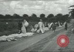 Standbild Baumwolle Landwirtschaft Chula Georgia USA, 1931, aus Sekunde 33 historischem Filmmaterial Videoclip 65675058053