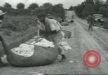 Standbild Baumwolle Landwirtschaft Chula Georgia USA, 1931, aus Sekunde 35 historischem Filmmaterial Videoclip 65675058053