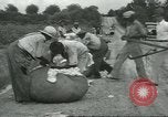 Standbild Baumwolle Landwirtschaft Chula Georgia USA, 1931, aus Sekunde 38 historischem Filmmaterial Videoclip 65675058053