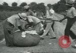 Standbild Baumwolle Landwirtschaft Chula Georgia USA, 1931, aus Sekunde 39 historischem Filmmaterial Videoclip 65675058053