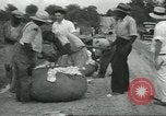 Standbild Baumwolle Landwirtschaft Chula Georgia USA, 1931, aus Sekunde 40 historischem Filmmaterial Videoclip 65675058053