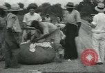 Standbild Baumwolle Landwirtschaft Chula Georgia USA, 1931, aus Sekunde 41 historischem Filmmaterial Videoclip 65675058053