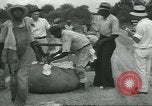 Standbild Baumwolle Landwirtschaft Chula Georgia USA, 1931, aus Sekunde 42 historischem Filmmaterial Videoclip 65675058053
