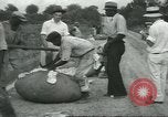 Standbild Baumwolle Landwirtschaft Chula Georgia USA, 1931, aus Sekunde 43 historischem Filmmaterial Videoclip 65675058053
