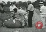 Standbild Baumwolle Landwirtschaft Chula Georgia USA, 1931, aus Sekunde 44 historischem Filmmaterial Videoclip 65675058053